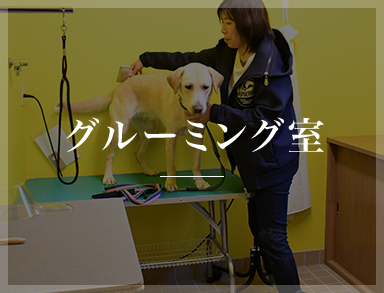 グルーミング室